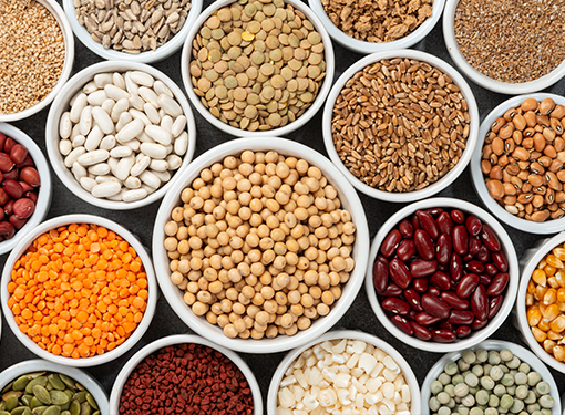 grains-1
